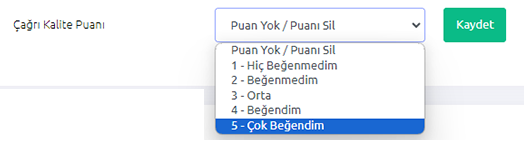 çağrı-puanlama